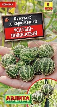 Кукумис декоративный Усатый-полосатый 10 шт Кукумис декоративный Усатый-полосатый 10 шт