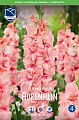Гладиолус Adrenalin, 10 шт (Lefeber) Гладиолус Adrenalin, 10 шт (Lefeber)