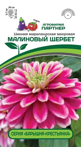 Цинния Малиновый щербет (5 шт), 2-ной пак. (ПАРТНЕР) Цинния Малиновый щербет (5 шт), 2-ной пак. (ПАРТНЕР)
