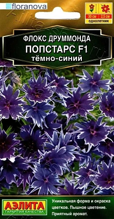 Флокс друммонда Попстарс F1 темно-синий, 5 шт (Аэлита)