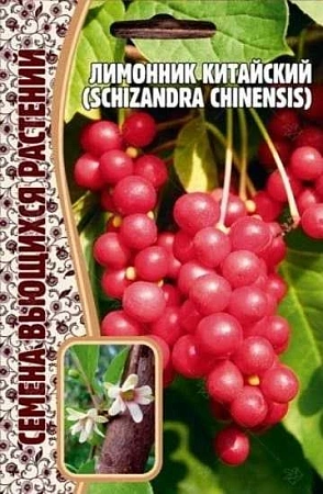 Лимонник китайский, 5 шт (Ред сем)