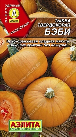 Тыква твердокорая Бэби, 1 г Тыква твердокорая Бэби, 1 г