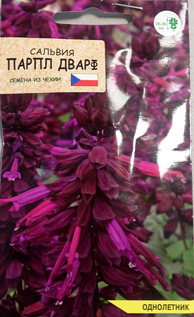 Сальвия Парпл Дварф, 10 шт (Агромаркет)