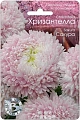 Астра Хризантелла Сакура, 30 шт (Биотехника) Астра Хризантелла Сакура, 30 шт (Биотехника)