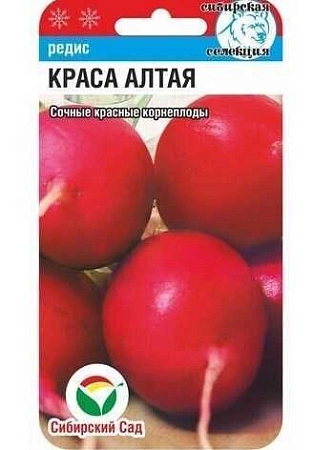Редис Краса Алтая 2гр (Сиб сад)