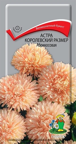 Астра Королевский размер Абрикосовая 0,1 г (Поиск) Астра Королевский размер Абрикосовая 0,1 г (Поиск)