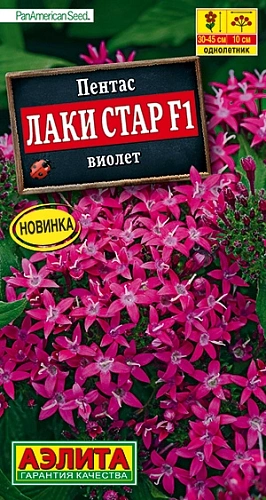 Пентас Лаки стар F1 виолет, 3 шт (Аэлита) Пентас Лаки стар F1 виолет, 3 шт (Аэлита)