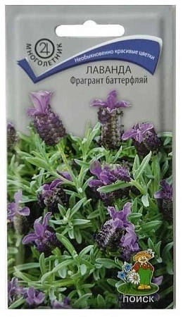 Лаванда Фрагрант баттерфляй 20 шт (Поиск)