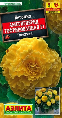Бегония Америгибрид гофрированная F1 желтая, 5 шт (Аэлита)