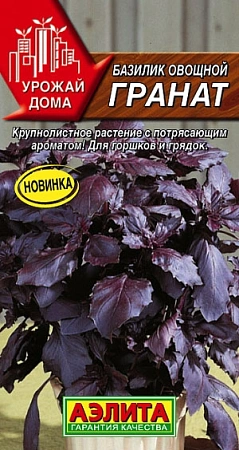 Базилик овощной Гранат 0,1 г (АЭЛИТА)