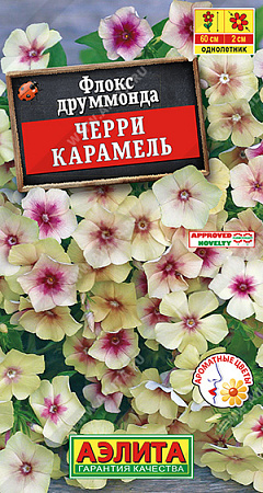 Флокс друммонда Черри карамель, 20 шт (Аэлита) Флокс друммонда Черри карамель, 20 шт (Аэлита)