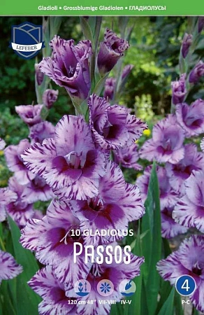 Гладиолус Passos, 10 шт (Lefeber)
