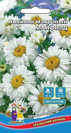 Нивяник Майфилд махровый (УД) Нивяник Майфилд махровый (УД)