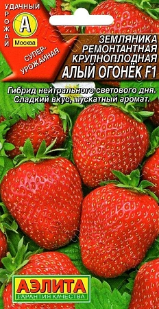 Земляника Алый огонек F1 ремонтантная крупноплодная, 10 шт (Аэлита)