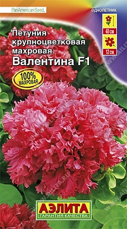 Петуния Валентина F1 10 шт Петуния Валентина F1 10 шт