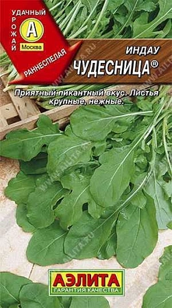 Руккола (индау) Чудесница 0,3 г (АЭЛИТА) Руккола (индау) Чудесница 0,3 г (АЭЛИТА)