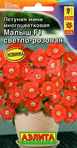 Петуния мини Малыш F1 светло-розовая многоцветковая 7 шт Петуния мини Малыш F1 светло-розовая многоцветковая 7 шт
