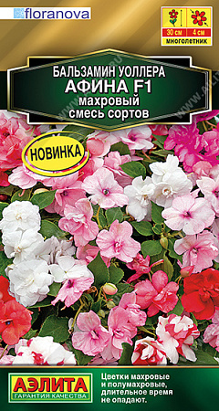 Бальзамин Афина F1 махровый, смесь сортов 5 шт (Аэлита)