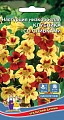Настурция Клубника со сливками низкорослая (УД) Настурция Клубника со сливками низкорослая (УД)
