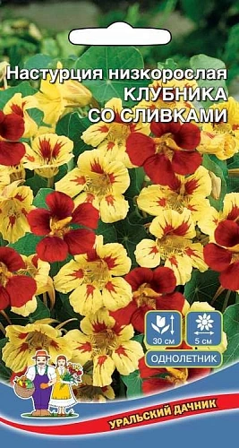 Настурция Клубника со сливками низкорослая (УД) Настурция Клубника со сливками низкорослая (УД)