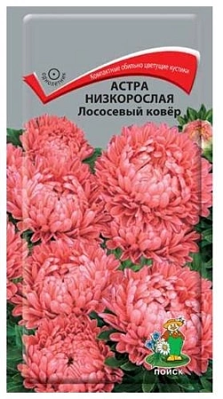 Астра низкорослая Лососевый ковер, 0,2 г (Поиск) Астра низкорослая Лососевый ковер, 0,2 г (Поиск)
