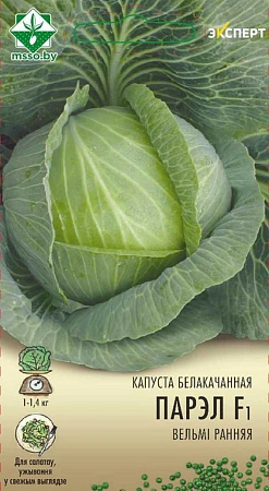 Капуста белокочанная Парел F1, 12 шт (МССО) Капуста белокочанная Парел F1, 12 шт (МССО)