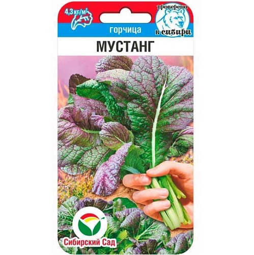 Горчица Мустанг 0,5 г (Сиб Сад) Горчица Мустанг 0,5 г (Сиб Сад)
