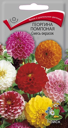 Георгина помпонная Смесь окрасок 0,3 г