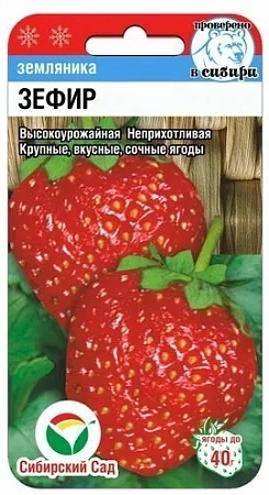 Земляника Зефир, 10 шт (Сиб Сад)