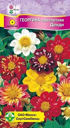Георгина Денди однолетняя, смесь 0,3 г (МССО) Георгина Денди однолетняя, смесь 0,3 г (МССО)