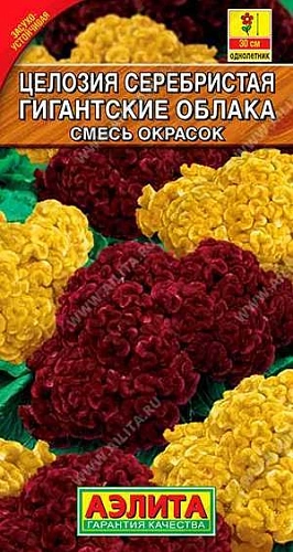Целозия серебристая Гигантские облака, смесь окрасок 0,05 г (АЭЛИТА) Целозия серебристая Гигантские облака, смесь окрасок 0,05 г (АЭЛИТА)