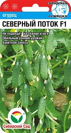Огурец Северный поток F1, 7 шт (Сиб Сад)