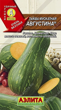 Тыква мускатная Августина, 1 г (АЭЛИТА)