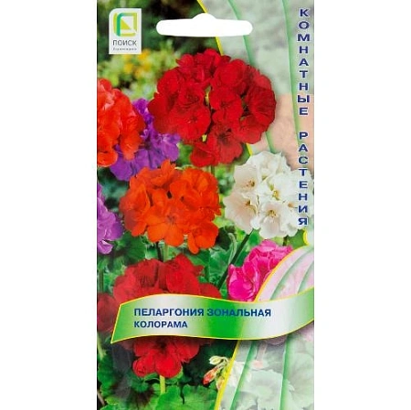 Пеларгония зональная Колорама F1 Пеларгония зональная Колорама F1