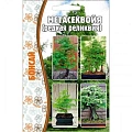 Метасеквойя, 10 шт (Ред сем) Метасеквойя, 10 шт (Ред сем)