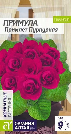 Примула Примлет Пурпурная, 5 шт Примула Примлет Пурпурная, 5 шт