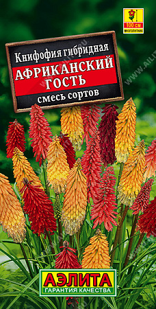 Книфофия Африканский гость, смесь сортов 30 шт (Аэлита)