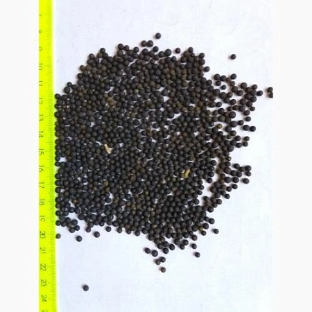 Горошек Вика