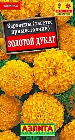 Бархатцы Золотой дукат прямостоячие, 7 шт (Аэлита)