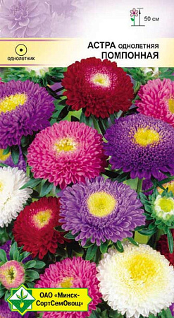 Астра Помпонная, смесь 0,3 г (МССО)
