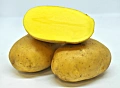 Картофель Миа семенной (элита), 5 кг Картофель Миа семенной (элита), 5 кг