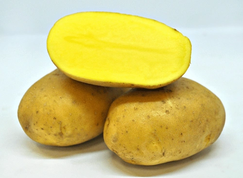 Картофель Миа семенной (элита), 5 кг Картофель Миа семенной (элита), 5 кг