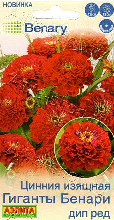 Цинния Гиганты Бенари дип ред 7 шт (АЭЛИТА)