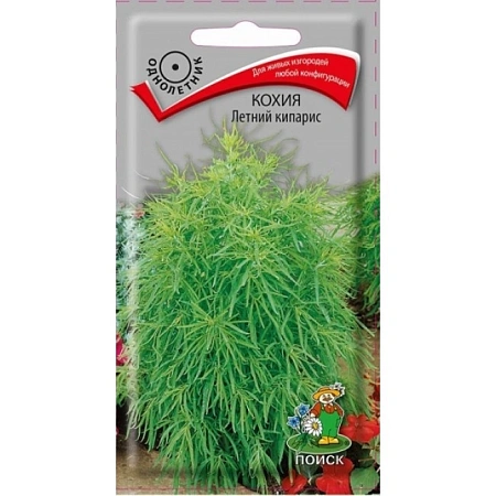 Кохия Летний кипарис 0,2 г Кохия Летний кипарис 0,2 г