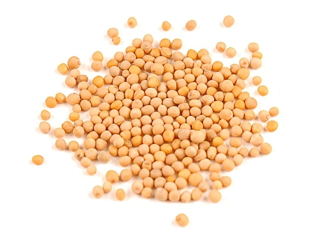 Горчица белая Елена, 1 кг