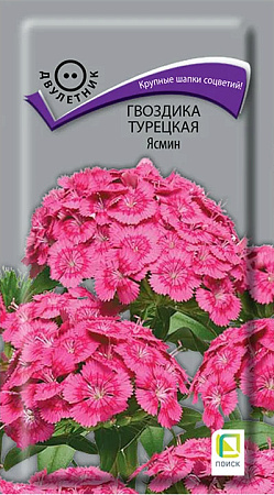 Гвоздика турецкая Ясмин, 0,3 г (Поиск)