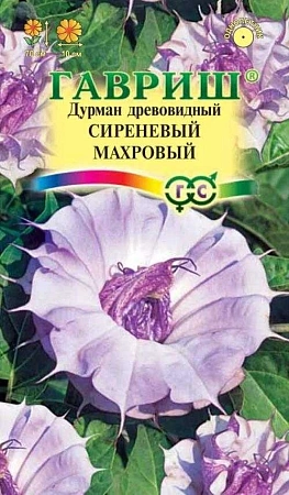 Дурман Сиреневый махровый однолетник, 3 шт (Гавриш)