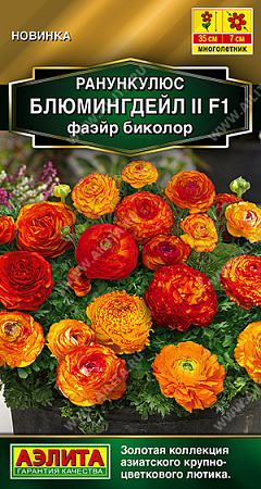 Ранункулюс Блюмингдейл II F1 фаэйр биколор, 3 шт (Аэлита)