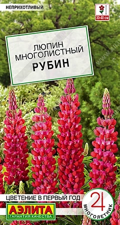 Люпин Рубин, смесь 7 шт (АЭЛИТА)