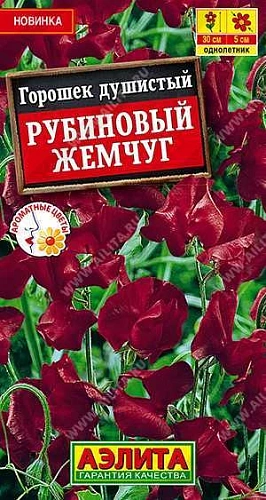 Душистый горошек Рубиновый жемчуг 0,5 г (АЭЛИТА) Душистый горошек Рубиновый жемчуг 0,5 г (АЭЛИТА)